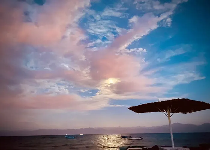 Oasis Resort Hotel 2*