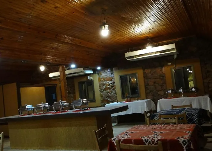 Oasis Resort