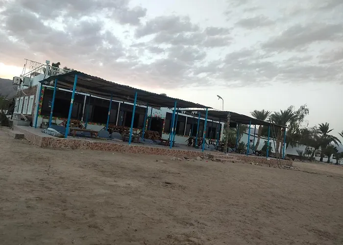 Отель Oasis Resort Нувейба