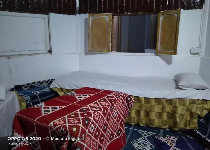 Oasis Resort Otel
