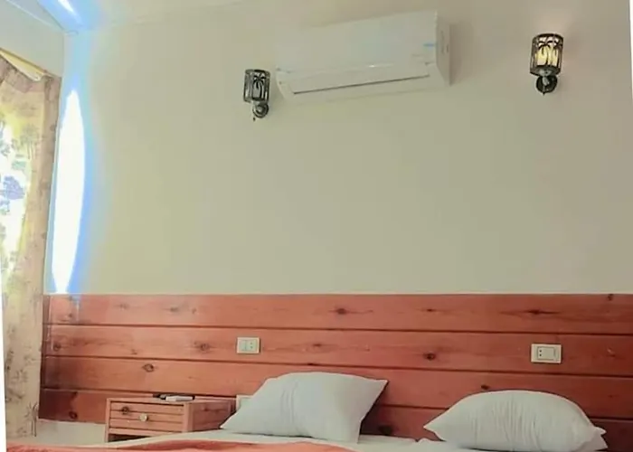 Oasis Resort Otel