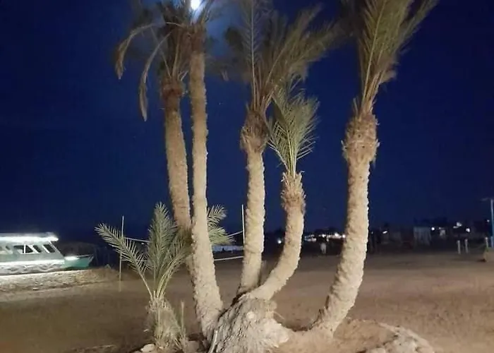 Oasis Resort Otel Nuweiba`